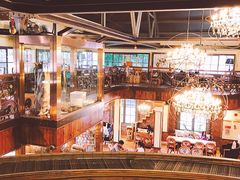 -more than meow吴止猫主题餐厅(承德 中船汇店)