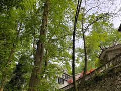 -莫干山风景区