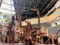 -安徽省地质博物馆