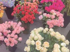 -循礼门鲜花花市(武汉循礼门店)