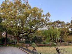 -申粤轩酒楼·三十年粤菜经典(丁香花园店)