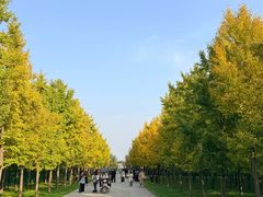 -汉景帝阳陵博物院