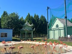 -秦皇岛野生动物园