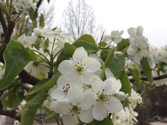 -南开大学滨海学院