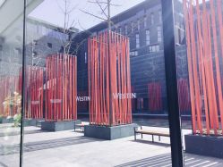 -西安威斯汀大酒店·宴会厅