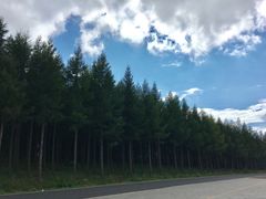 -塞罕坝国家级自然保护区