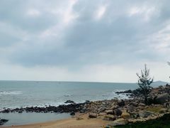 -广东惠东海龟国家级自然保护区
