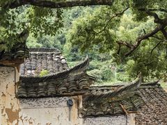 -杨家堂村