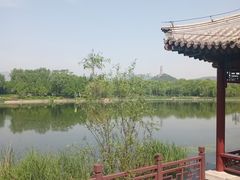 -北坞公园