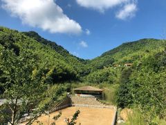 -宁海安岚·南溪阁全日餐厅