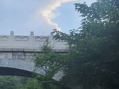 -白水寺森林公园