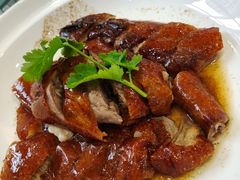 柴火明炉烧鹅-顺德人家食府(黄金广场店)