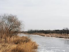 -马家湾湿地公园