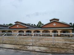 -上林马术中央公园·户外露营·团建·骑乘