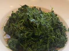 -沪碟·精菜坊(闵行店)
