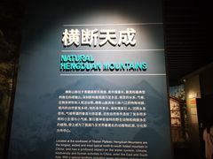 -四川大学博物馆