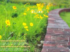 -春花秋色城市公园