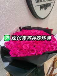 -薇薇安花系SPA