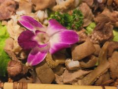 -椰子湾·海南火锅·糟粕醋·椰子鸡(正大广场店)