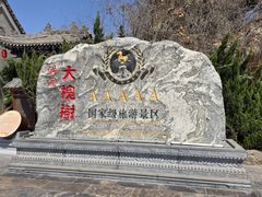 -大槐树寻根祭祖园