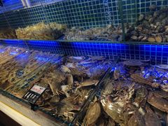 -必点海鲜·鲅鱼水饺(鞍山西道店)