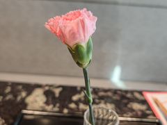 -王家渡火锅店(亦庄店)