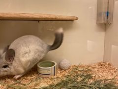 -龙猫仔乐园(惠福东路店)