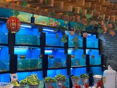 水产区-宋园·金宴浙鲜馆(静安店)