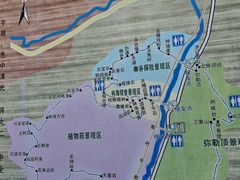 -汤旺河林海奇石景区