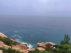 -广东惠东海龟国家级自然保护区