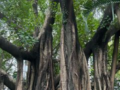 -晓港公园