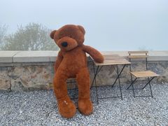 -阳台山自然风景区