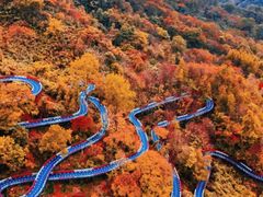 -南山植物园