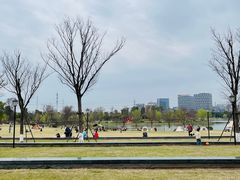 -上海长兴岛郊野公园