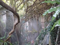 -青青世界