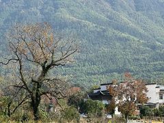-塔川景区