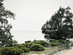 -霞山观海长廊