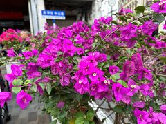 -海口骑楼小吃街