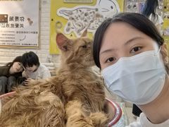 -平行世界·猫咖(首经贸店)
