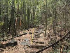 -会稽山峡洞漂流-上青古道