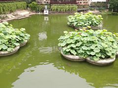 -豫园湖心亭茶楼