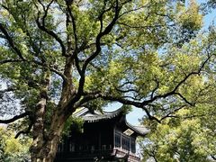 -惠山古镇·寄畅园