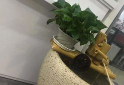 -杉影印象日式烫染專門店
