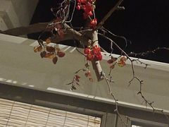 -春天来了(印象新天地店)