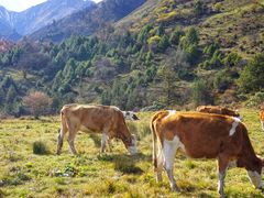-硗碛藏寨·神木垒景区