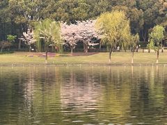 -黄兴公园