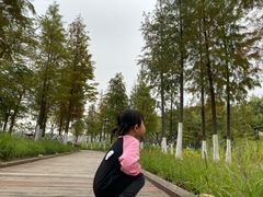 -映月湖公园