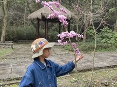 -黄公望隐居地