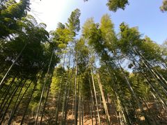-天目湖涵田度假村