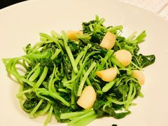 -上海小南国(不夜城店)